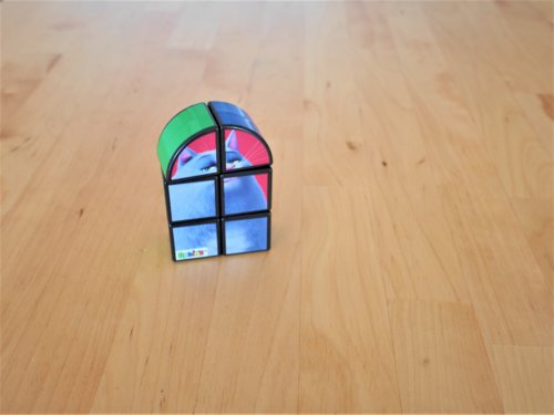 ペット ルービックキューブ